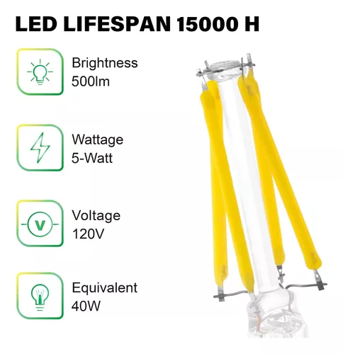 Bombilla LED para electrodomésticos, equivalente a 40 W, bombillas de  campana extractora, luz blanca diurna 5000 K, 5 W 500 lúmenes, no  regulable