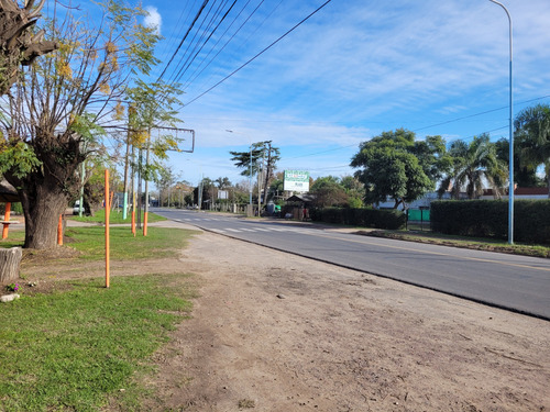 Imagen 16 de 30 de Local Comercial Sobre Avenida San Martin