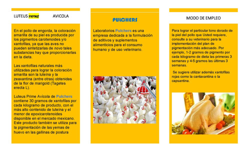 Pigmento Para Pollo De Engorda 1 Kg, Xantofilas 30g