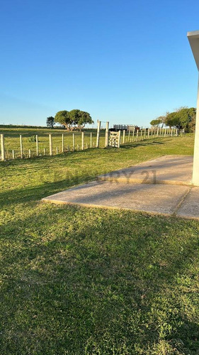 Venta Chacra Canelones Piedra De Afilar Con  Tajamar