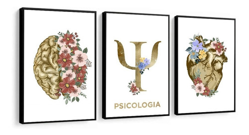 Kit 3 Quadros Decorativos Psicologia Consultório Profissão