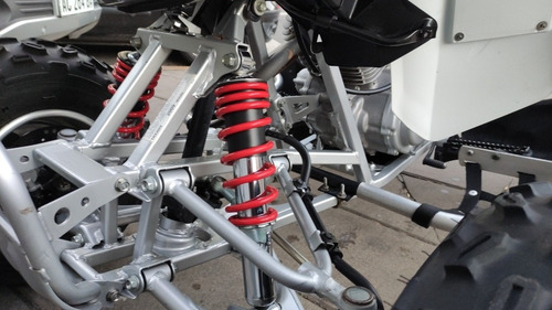 Imagen 11 de 13 de Honda Fourtrax Trx 300 X