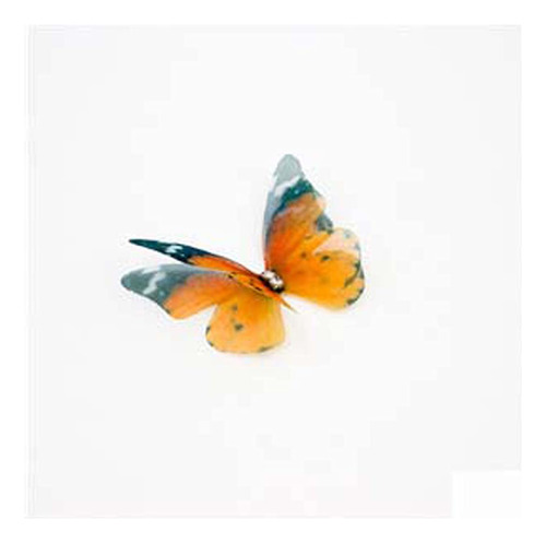 20 Mariposa Organza 3d Seda Aplique Colorido 16