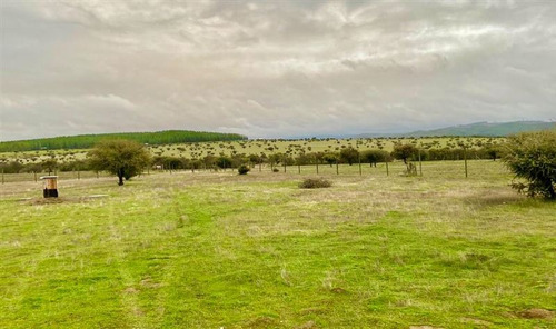 Terreno Plano De 5.000 M2 En Mallermo 6ta Región