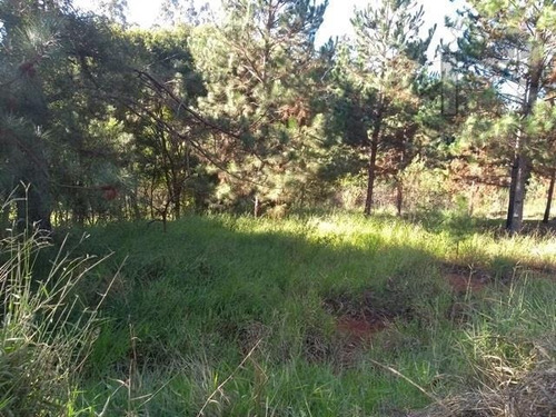 Imagem 1 de 3 de Cód - 5723 - Terreno Na Bunjiro Nakao, Pé No Asfalto. - 5723