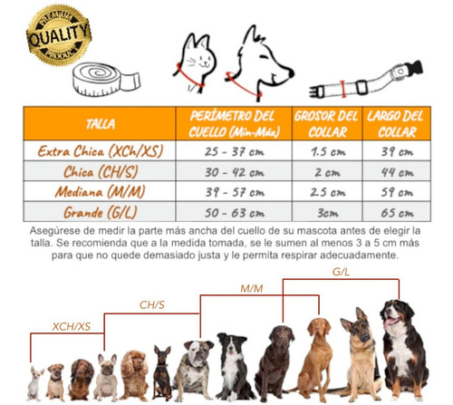 Collar Para Perros Raza Ch Med Y Gde Tipo Piel Ajustable Color Morado Tamaño del collar Extra Chico ECh/XS