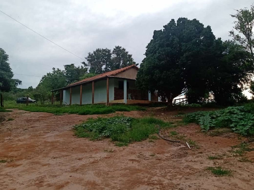 Imagem 23 de 30 de 14 Alqueires Região Angatuba Sp Com Casa Simples Bão Água Luz, Ótima Localização, 10 Km Angatuba Por Estrada Cascalhada Oportunidade... - St00037 - 68969916