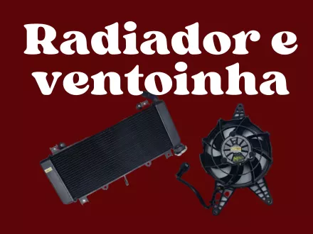 Radiador e ventoinha