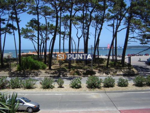 Imagen 2 de 21 de Sobre El Mar Lindisimo Vista Franca