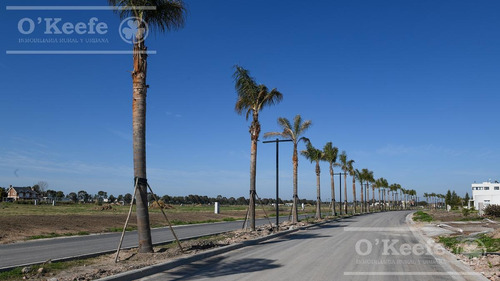 Imagen 14 de 30 de Lote En Venta En Puerto Nizuc - Oportunidad De Inversión En Guillermo Hudson