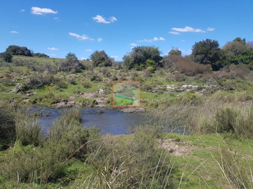Imagen 11 de 14 de Campo Ganadero 325has Garzón Maldonado