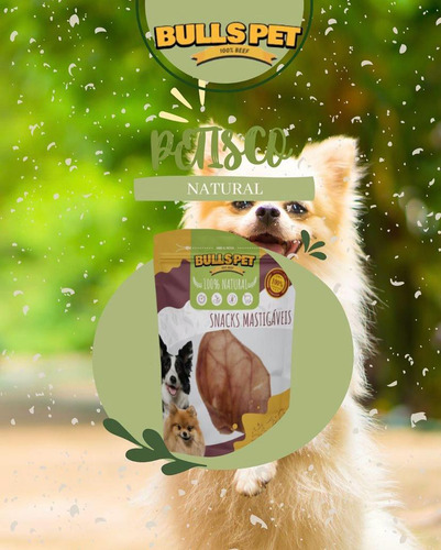 Kit 10 Petisco Cachorro Orelha Bovina Snacks Puresnacks