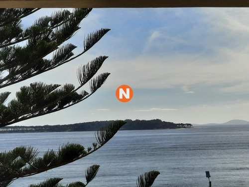 Apartamento En Venta Y Alquiler, Mansa, Punta Del Este, 3 Dormitorios.- Ref: 1800