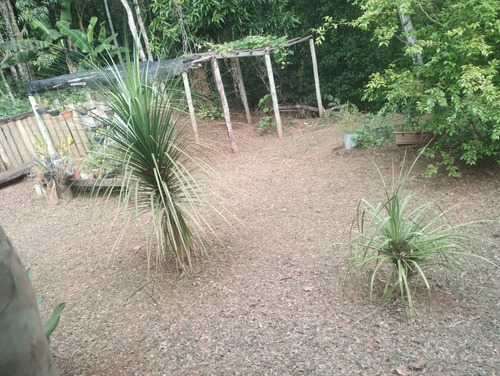 Sitio Muita Água E Luz.