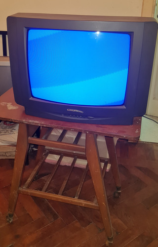 Televisor Antiguo Grundig 19 Pulgadas - Funciona (Usado)