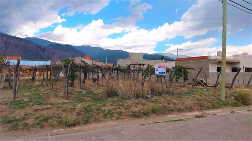 Imagen 3 de 11 de Lote En Venta O Permuta B° El Tránsito Cafayate