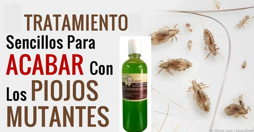Shampoo Anti Piojos Y Liendres Yeguada La Reserva Original