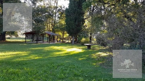 Imagen 12 de 14 de Chacra - Carlos Spegazzini
