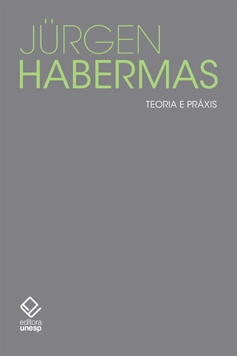 Livro Teoria E Práxis