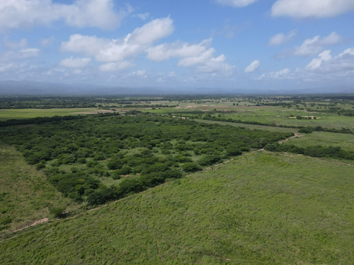 Imagen 5 de 30 de Finca En Venta Aguadagrande, Siquisique Cod. 23-7859