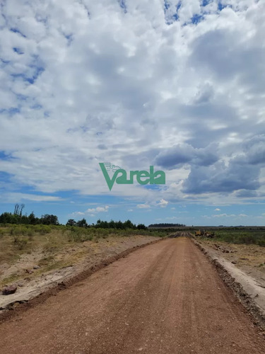 Chacras Altos De La Floresta,  Proximas Al Balneario La Floresta 