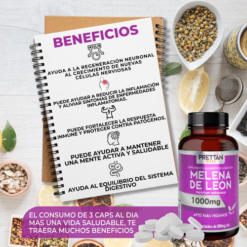 Hongo Melena De León Prettan Suplemento Nootrópico 1000mg Sin Sabor