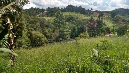 Imagem 2 de 15 de Área No Centro De Caucaia. Oportunidade Para Investir! - 202