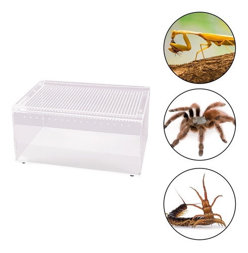 Reptizoo Nano Terrario Acrilico 30x20x15cm 3 Mm 9 L Criadero