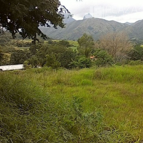 Imagen 5 de 7 de Terreno En Venta/ San Juan De Los Morros/ 04128859981