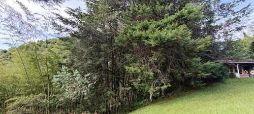 Imagen 2 de 30 de Finca En El Peñol Antioquia 7500 Mts Cuadrados. Escrituras Al Día.