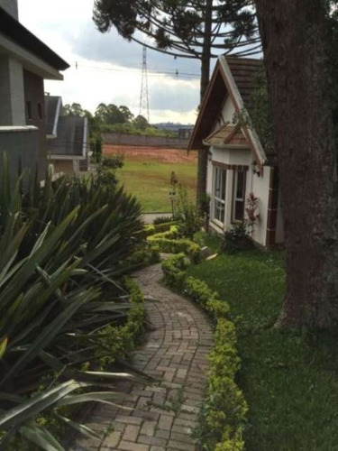 Imagem 20 de 30 de Excelente Terreno São Braz - Te-0448 - 3295582