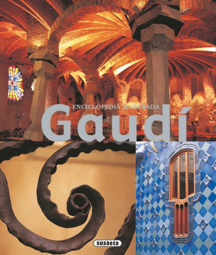 Gaudi Enciclopedia Ilustrada - Vv.aa