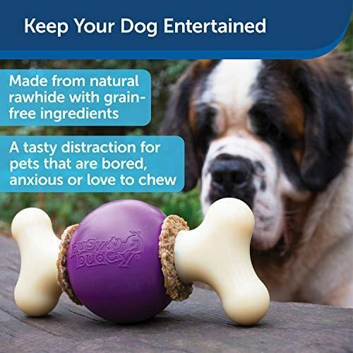 Juguete Masticable Petsafe Busy Buddy Bouncy Bone Para Perro