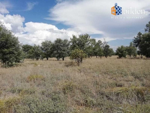 Imagen 4 de 5 de Terreno En Venta Fracc. Agropecuario Sierra Linda Durango