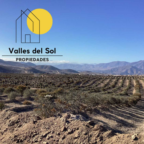 Se Vende Parcela 5000m2 En Carmin Elqui (26034)