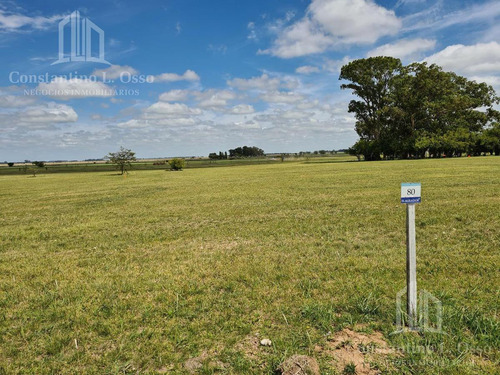 Imagen 6 de 11 de Oportunidad - Lote Muy Bien Ubicado - El Mirador - Samborombon