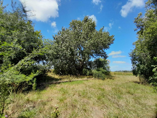 Campo En Venta!!!
