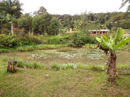 Imagem 7 de 19 de Chácara Com 3 Lagos Piscina Pomar 2 Casas 4.700 M²