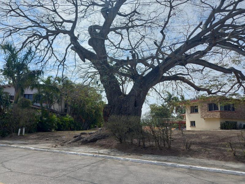 Terreno Habitacional En Venta En Flores, Tampico, Tamaulipas