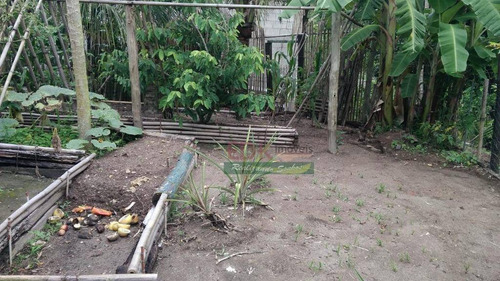Imagem 14 de 30 de Chácara Com 3 Dormitórios À Venda, 5000 M² Por R$ 360.000,00 - Estância Nova Campos Do Jordão - Santa Branca/sp - Ch0399