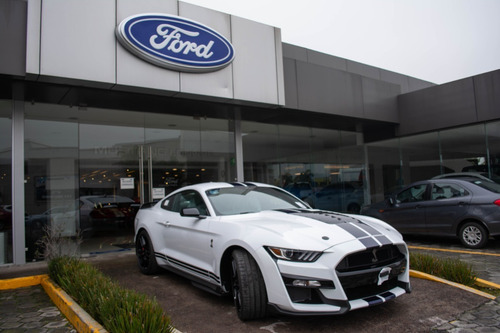 Imagen 7 de 15 de Ford Shelby 2021