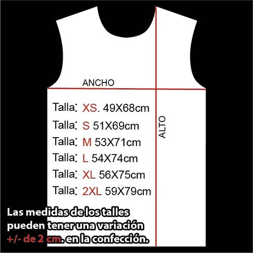 Remera Calavera Fuego Azul Estilo Urbano