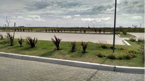 Imagen 5 de 6 de Venta Lote Laguna Terreno Barrio Santa Clara Al Sur Cannning San Vicente