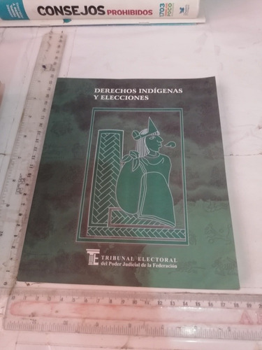 Derechos Indígenas Y Elecciones Tribunal Electoral Del Poder