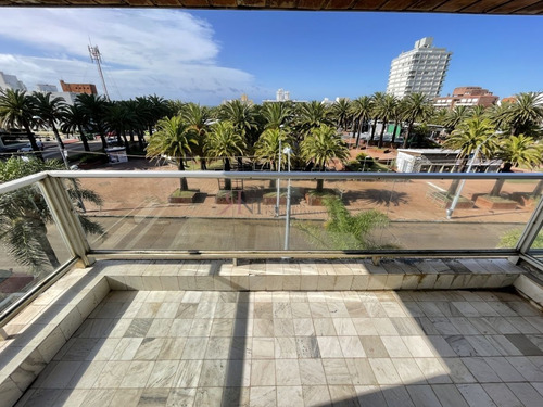 Imagen 5 de 29 de Terraza, Edificio Bajo