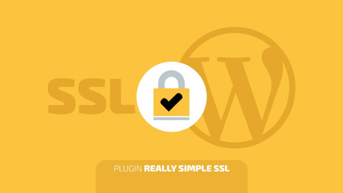 Really Simple Ssl Pro Plugin Para Wordpress Lifetime