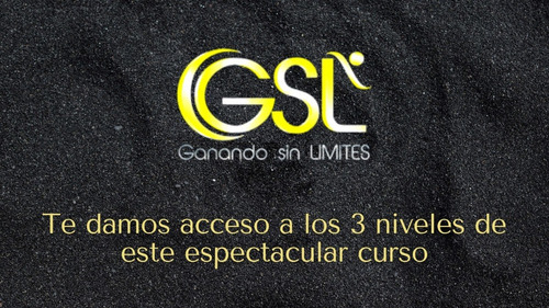 Sistema Gsl Los 3 Niveles Del Curso + Regalo