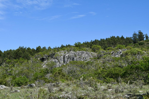 Imagen 5 de 7 de Venta Chacra Sierras De Minas Arroyo 13 Has
