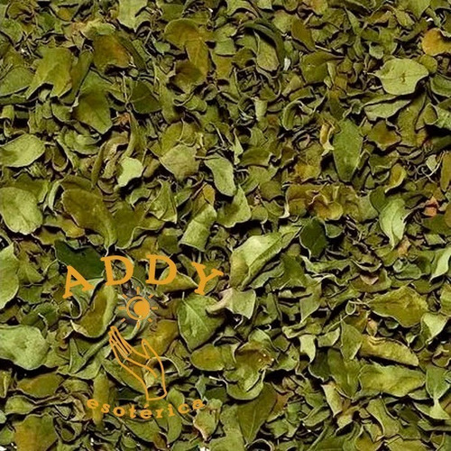 Moringa Deshidratada - 1 Kilo