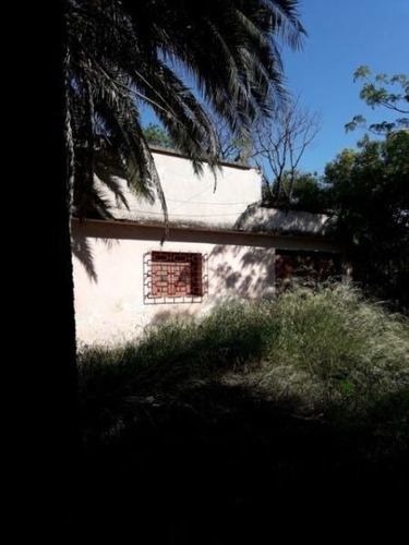 Lote | Salerno Al 1800
